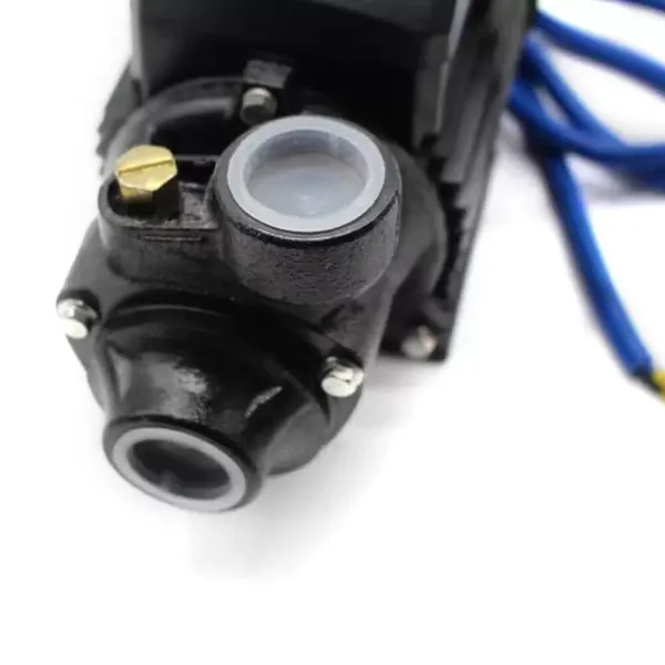 Solar Water Pump Surface Water Transfer 280W Pool Water Pump w/ Mppt Controller Solar Water Pump Surface Water Transfer 280W Pool Water Pump w/ Mppt Controller