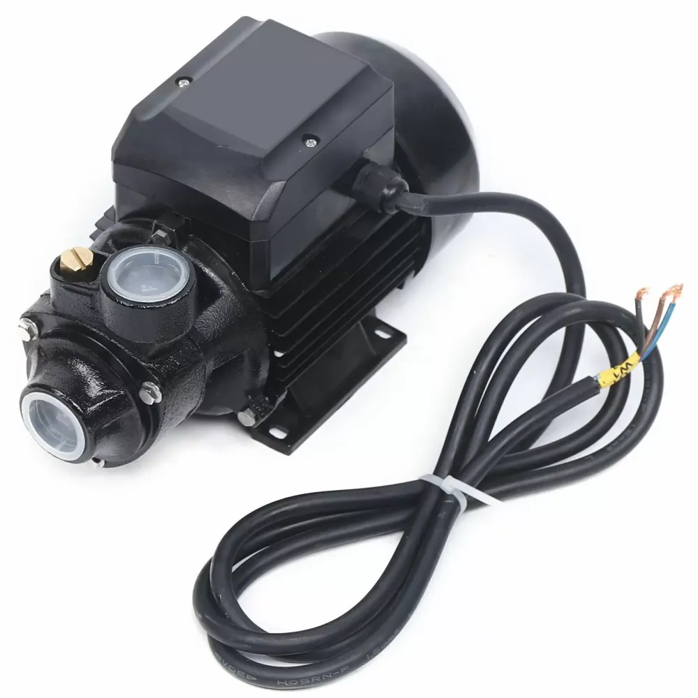 High Pressure Black Solar Water Pump 3,000L/H Solar Brushless DC Pump Motor 45V