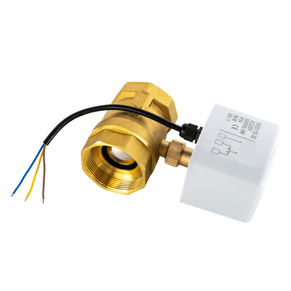 AC220V DN50 2 Inch 2‑Way 3‑Wire Brass Electric Motorized Ball Valve ESA
