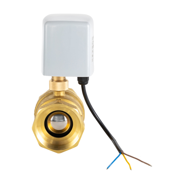 AC220V DN50 2 Inch 2‑Way 3‑Wire Brass Electric Motorized Ball Valve ESA