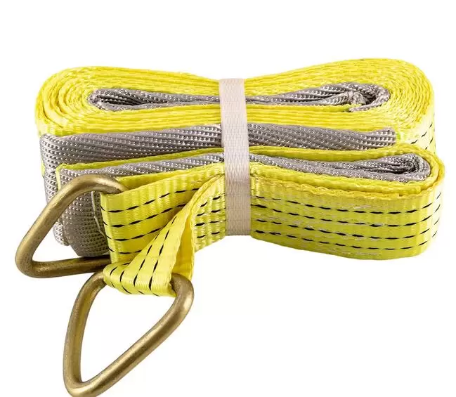 Electric Hoist Winch Crane 250/500KG Rope Tool Remote Chain Lifting Cable 6M12M