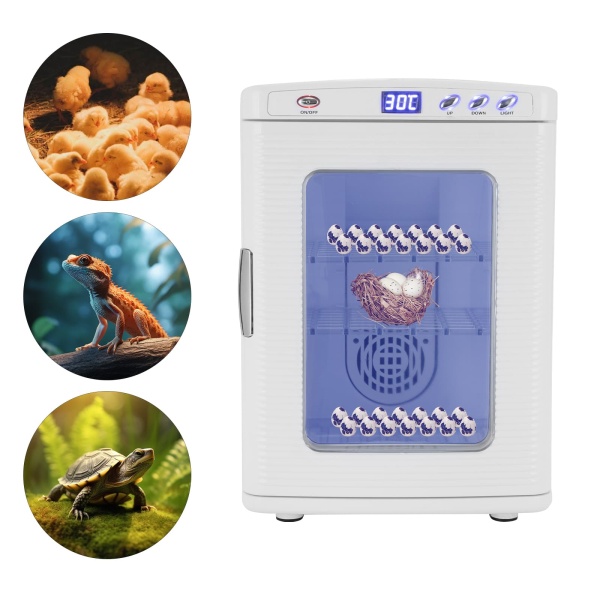 White Reptile Incubator, Reptile Egg Incubator, Incubators for Hatching Eggs White Reptile Incubator, Reptile Egg Incubator, Incubators for Hatching Eggs