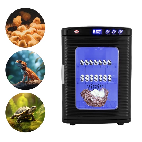 Black Reptile Incubator, Reptile Egg Incubator, Incubators for Hatching Eggs