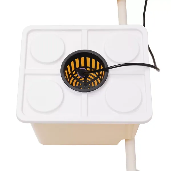 Deep Water Culture Hydroponic Grow System Kit 5 Plant Sites Bucket w/ Pump 11L Deep Water Culture Hydroponic Grow System Kit 5 Plant Sites Bucket w/ Pump 11L