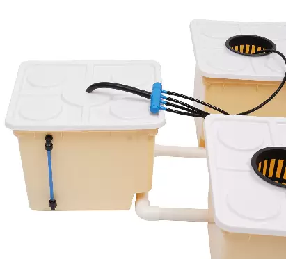 Deep Water Culture Hydroponic Grow System Kit 5 Plant Sites Bucket w/ Pump 11L