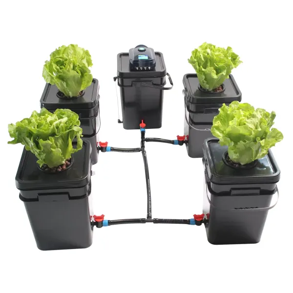 5 PCS 20L Hydroponics Systems DWC Deep Water Culture System Square Grow Kits