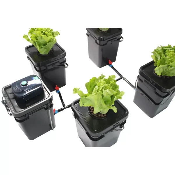 5 PCS 20L Hydroponics Systems DWC Deep Water Culture System Square Grow Kits
