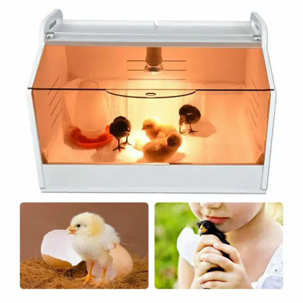 Poultry Chick Brooder Equipment For Birds/ Hand Raised Parrot/ Reptile/Chicks AU Poultry Chick Brooder Equipment For Birds/ Hand Raised Parrot/ Reptile/Chicks AU