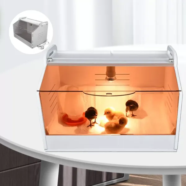 Poultry Chick Brooder Equipment For Birds/ Hand Raised Parrot/ Reptile/Chicks AU