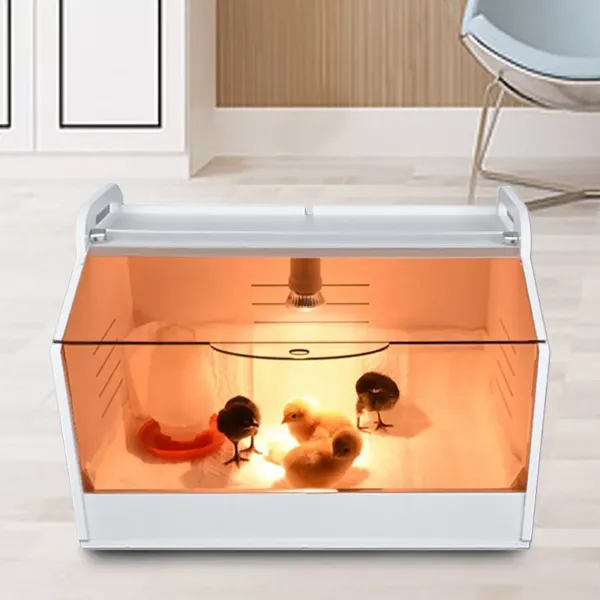 Poultry Chick Brooder Equipment For Birds/ Hand Raised Parrot/ Reptile/Chicks AU