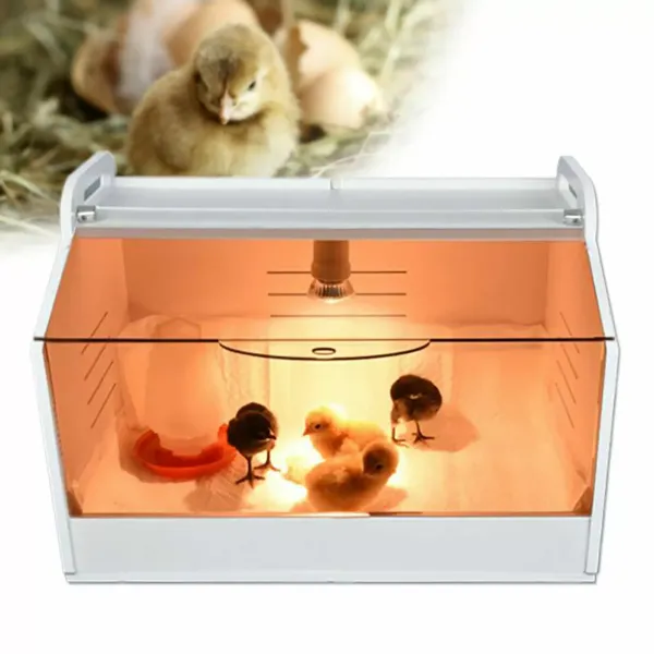 Poultry Chick Brooder Equipment For Birds/ Hand Raised Parrot/ Reptile/Chicks AU
