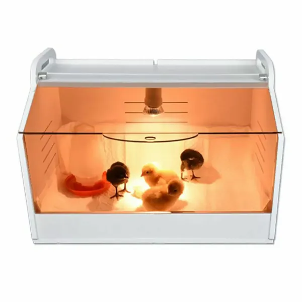 Poultry Chick Brooder Equipment For Birds/ Hand Raised Parrot/ Reptile/Chicks AU