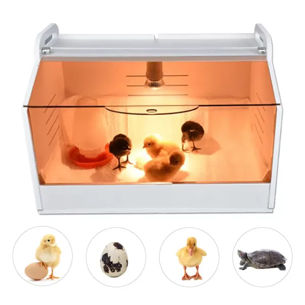 Poultry Chick Brooder Equipment For Birds/ Hand Raised Parrot/ Reptile/Chicks AU
