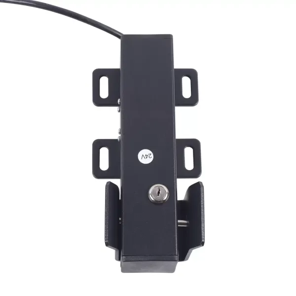 Automatic Swing Sliding Gate Opener Remote Control Residential Electric Lock 24V