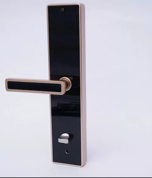 Anti-theft Code Security Door Handle Finger Print Entry Padlock Smart Door Lock