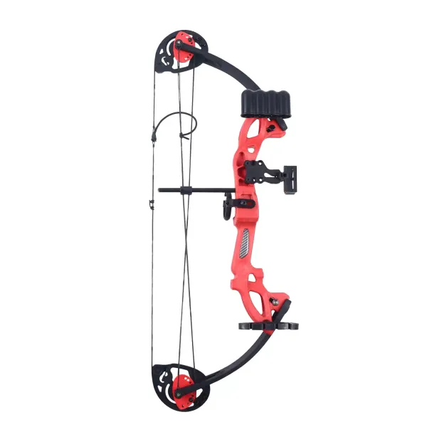 Mini Compound Bow 40lbs Sight Arrow Archery Shooting Fishing Hunting Right Hand