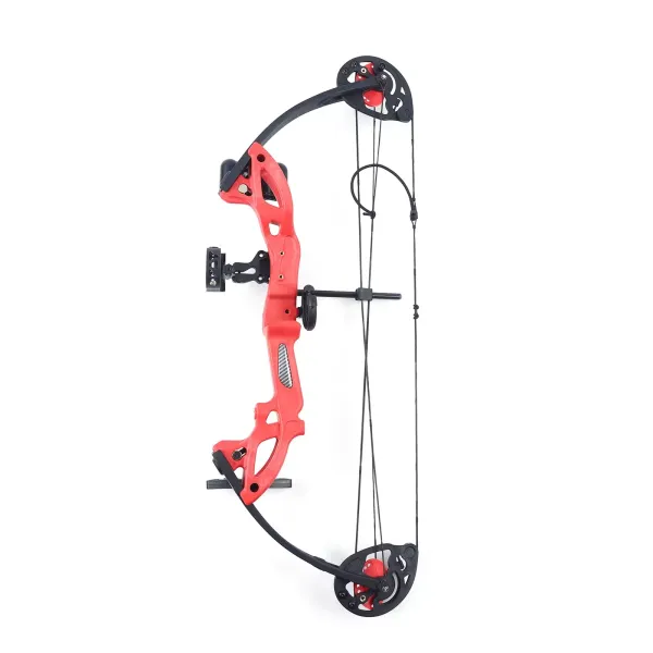 Mini Compound Bow 40lbs Sight Arrow Archery Shooting Fishing Hunting Right Hand