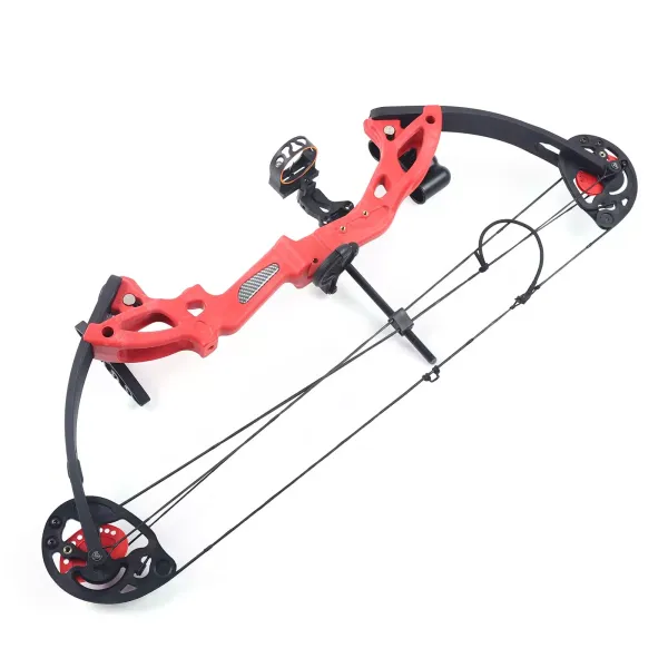 Mini Compound Bow 40lbs Sight Arrow Archery Shooting Fishing Hunting Right Hand