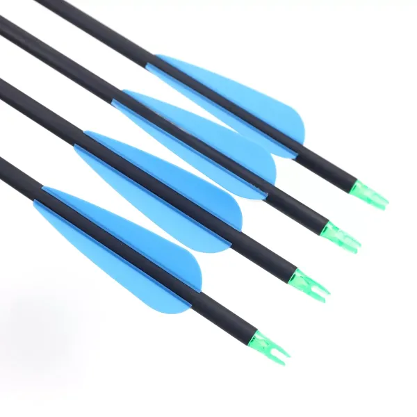 Mini Compound Bow 40lbs Sight Arrow Archery Shooting Fishing Hunting Right Hand