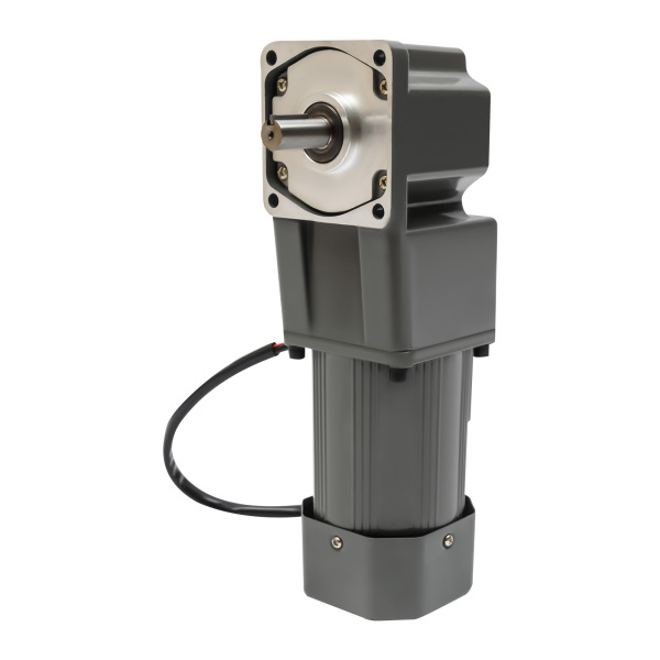 120W 30K 110V Adjustable Variable Gear Reducer Motor AC Gear Motor with Speed Controller High Torque Single-Phase Electric Gear Motor