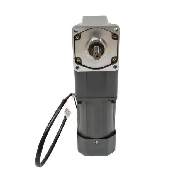 120W 30K 110V Adjustable Variable Gear Reducer Motor AC Gear Motor with Speed Controller High Torque Single-Phase Electric Gear Motor