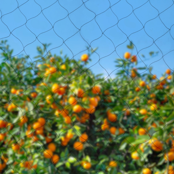 CNCEST 30 x 15cm bird deterrent garden net poultry net leaf protection net bird protection net