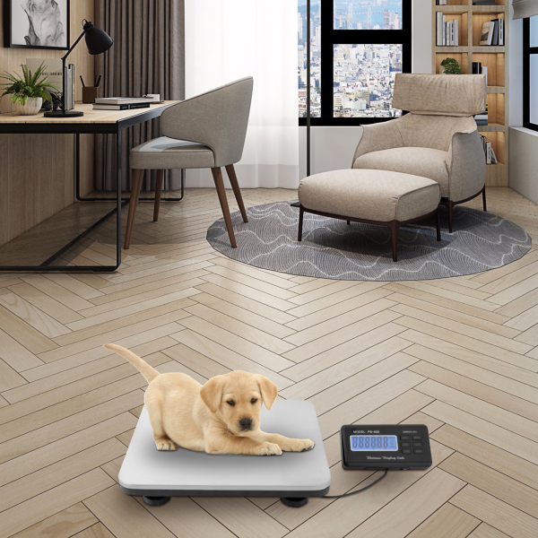 661lbs Electronic Digital Platform Postage Scale LCD Display Pet Food Scale Strong and Durable Digital Platform Scale 661lbs Electronic Digital Platform Postage Scale LCD Display Pet Food Scale Strong and Durable Digital Platform Scale