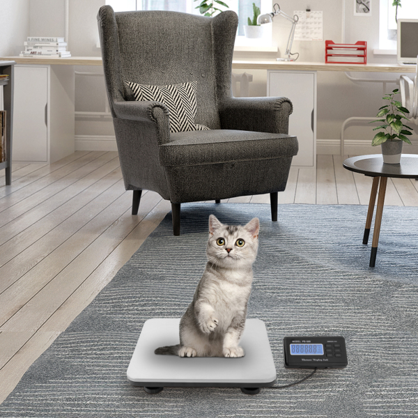 661lbs Electronic Digital Platform Postage Scale LCD Display Pet Food Scale Strong and Durable Digital Platform Scale