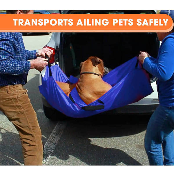 Blue Nylon Anti-Bite Pet Stretcher, Pet Rescue Carrier, Portable Pet Lifter - 132.27lb Capacity, Foldable & Comfortable