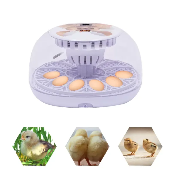 12-Egg Incubator Automatic Turning Digital Hatching Machine Chicken Eggs Poultry