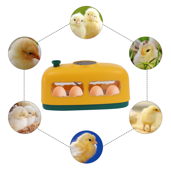 Automatic 8 Egg Incubator Led Turning Chicken Eggs Poultry Hatching Eggs