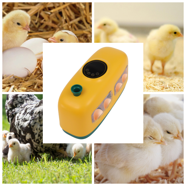 Automatic 8 Egg Incubator Led Turning Chicken Eggs Poultry Hatching Eggs