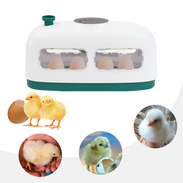 Automatic 8 Egg Incubator Digital Led Turning Chicken Eggs Poultry Hatching Eggs Automatic 8 Egg Incubator Digital Led Turning Chicken Eggs Poultry Hatching Eggs