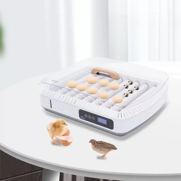 35 Eggs Digital Egg Incubator Automatic Turning Chicken Duck Poultry 20-50℃ 35 Eggs Digital Egg Incubator Automatic Turning Chicken Duck Poultry 20-50℃