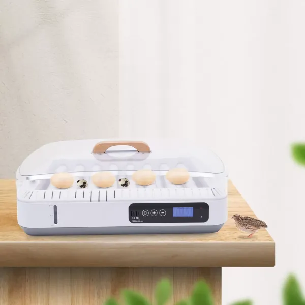 35 Eggs Digital Egg Incubator Automatic Turning Chicken Duck Poultry 20-50℃ 35 Eggs Digital Egg Incubator Automatic Turning Chicken Duck Poultry 20-50℃