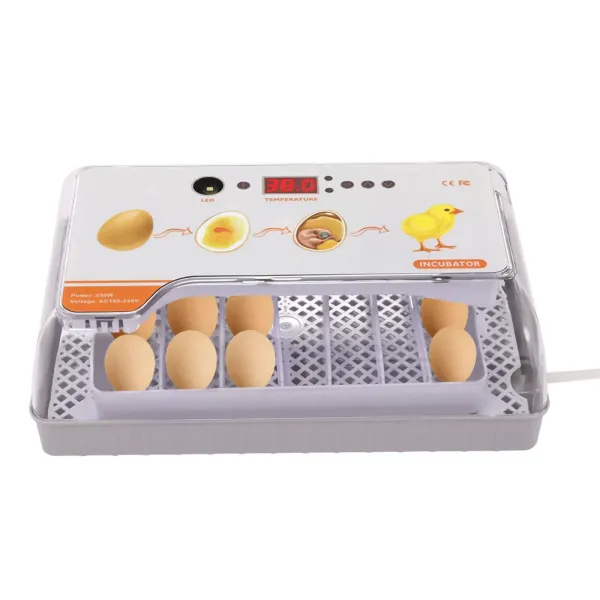 20 Eggs Incubator Automatic Egg Turning Smart Temperature Control Hatching Tool