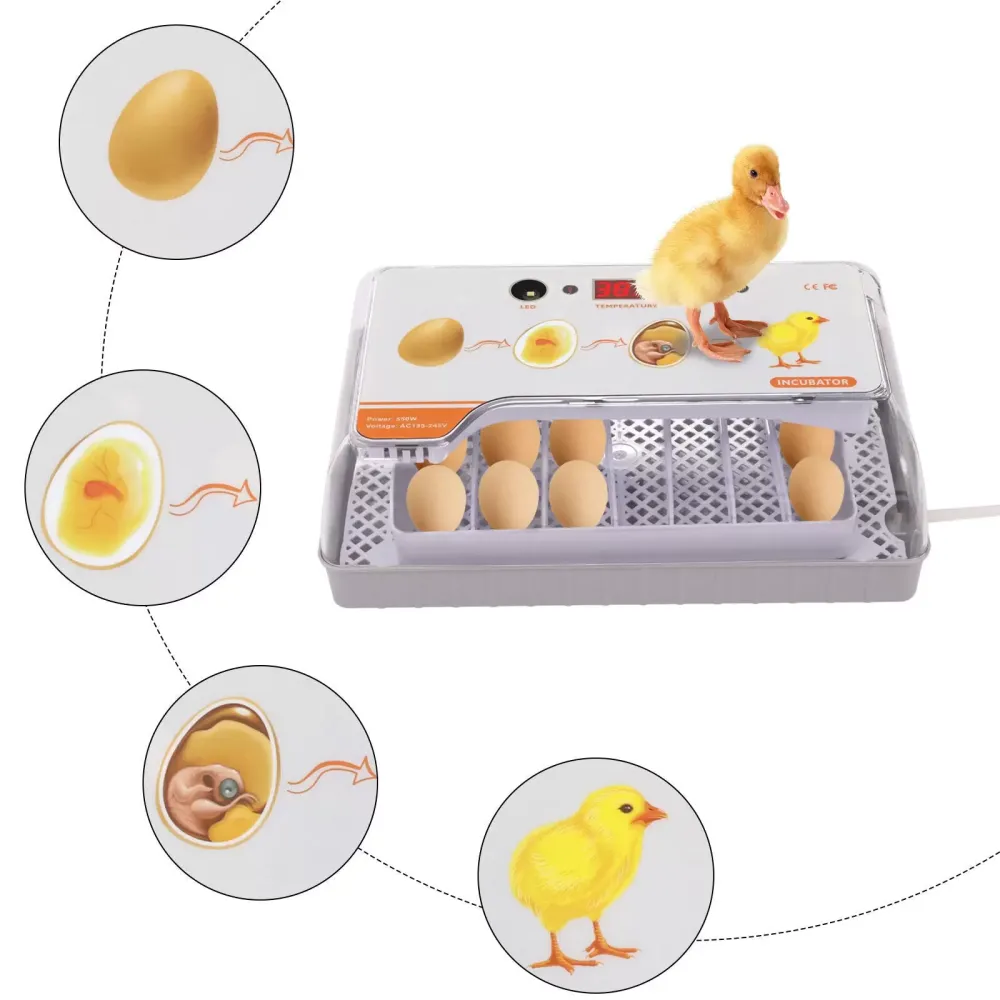 20 Eggs Incubator Automatic Egg Turning Smart Temperature Control Hatching Tool