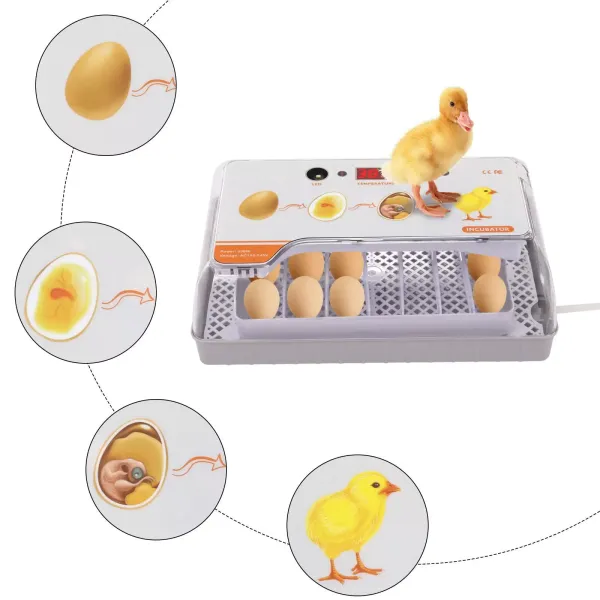 20 Eggs Incubator Automatic Egg Turning Smart Temperature Control Hatching Tool